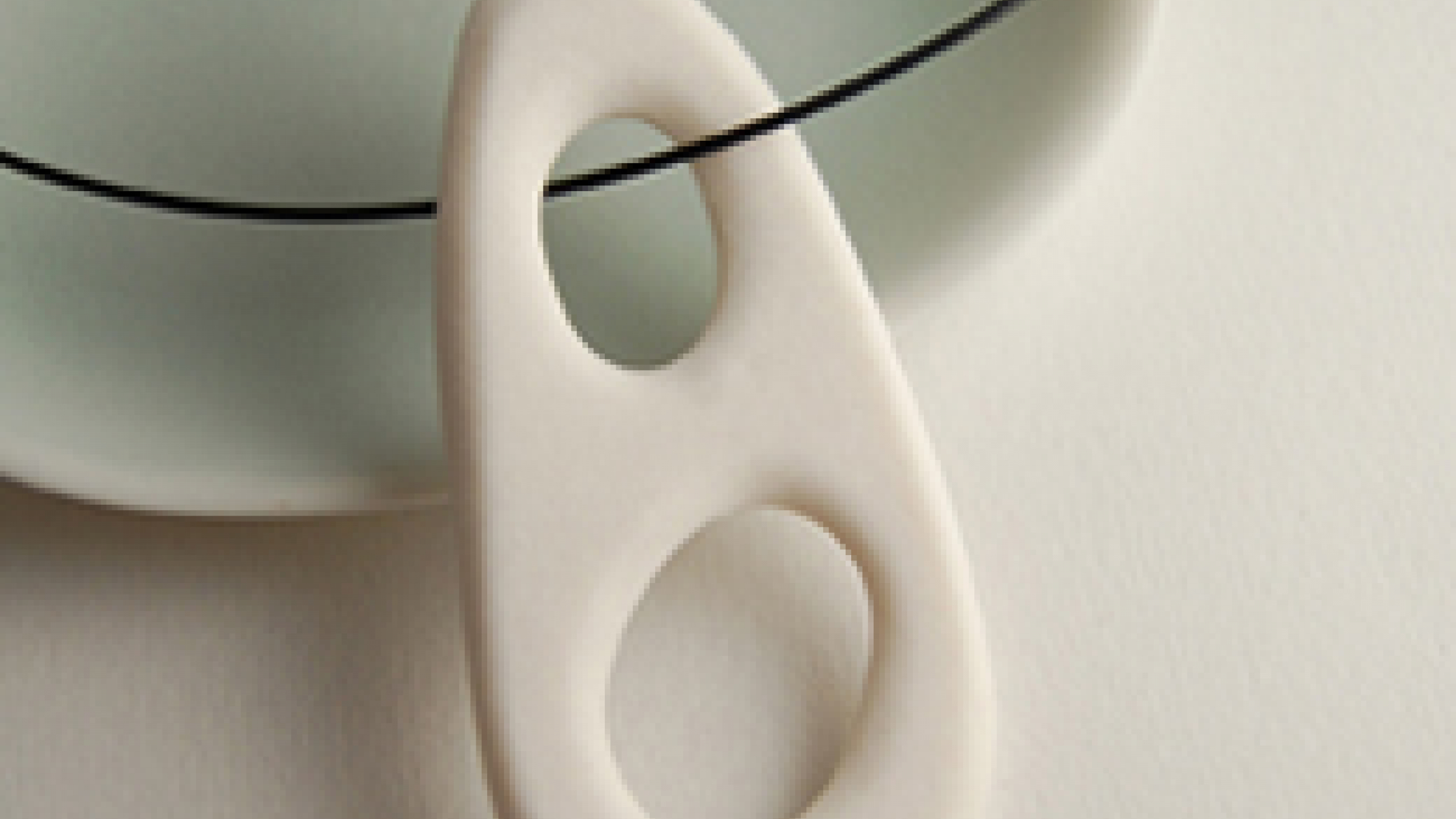 Bone Series Necklace