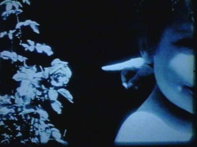 Image courtesy of Canyon Cinema
