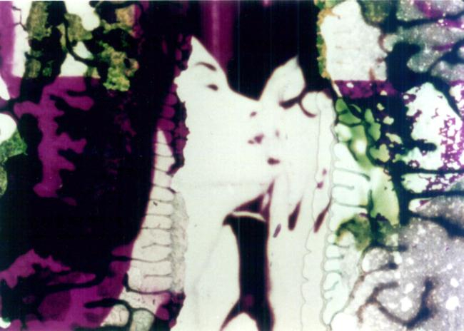 Image courtesy of Canyon Cinema