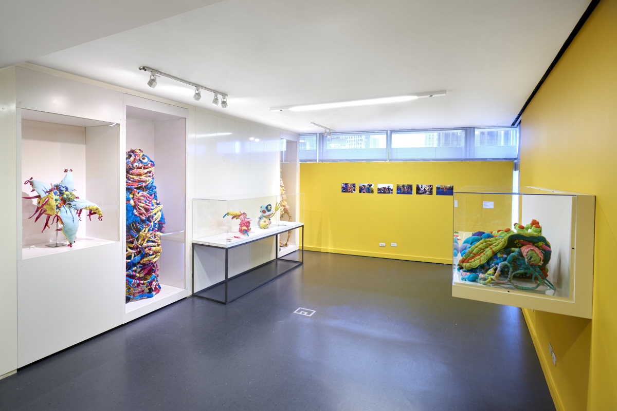 Installation view of <em>Kookerville</em>